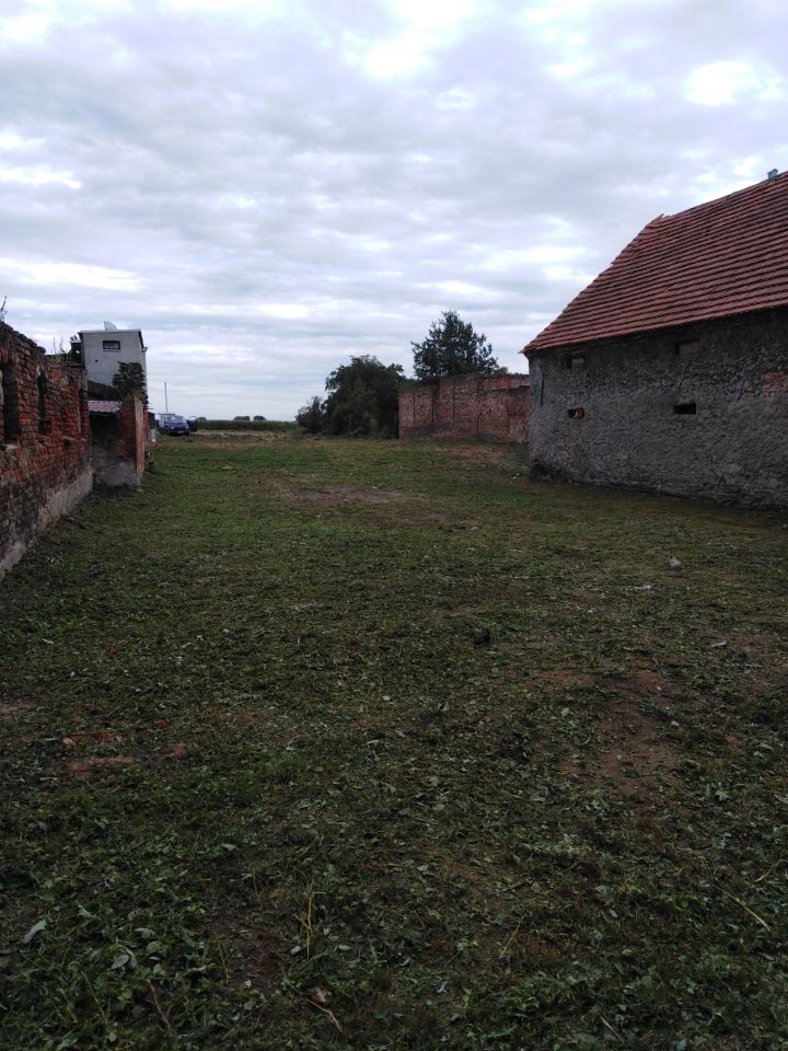 gospodarstwo, 5 pokoi Wierzbno, Wierzbno. Zdjęcie 3