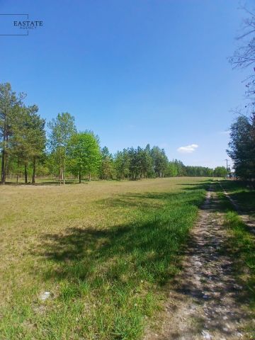 Działka budowlana Koryta, ul. Lipowa. Zdjęcie 2