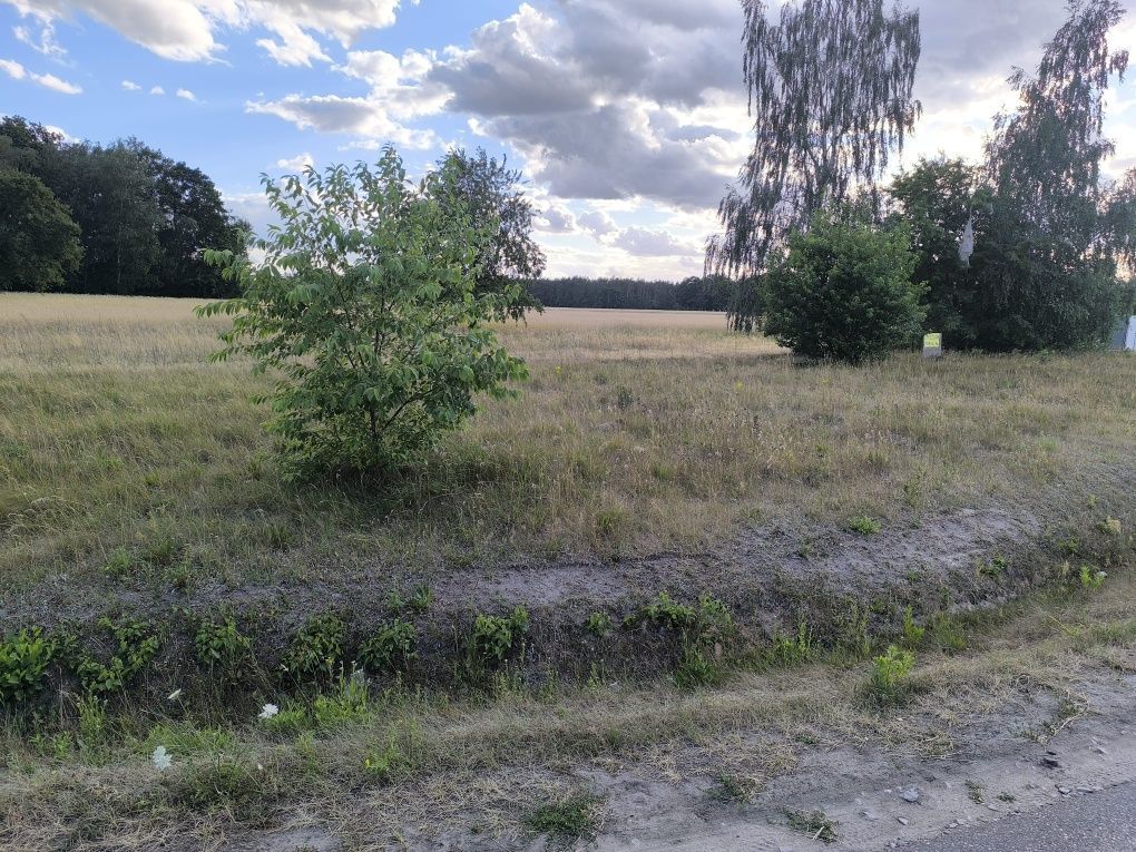 Działka budowlana Czyżeminek. Zdjęcie 4