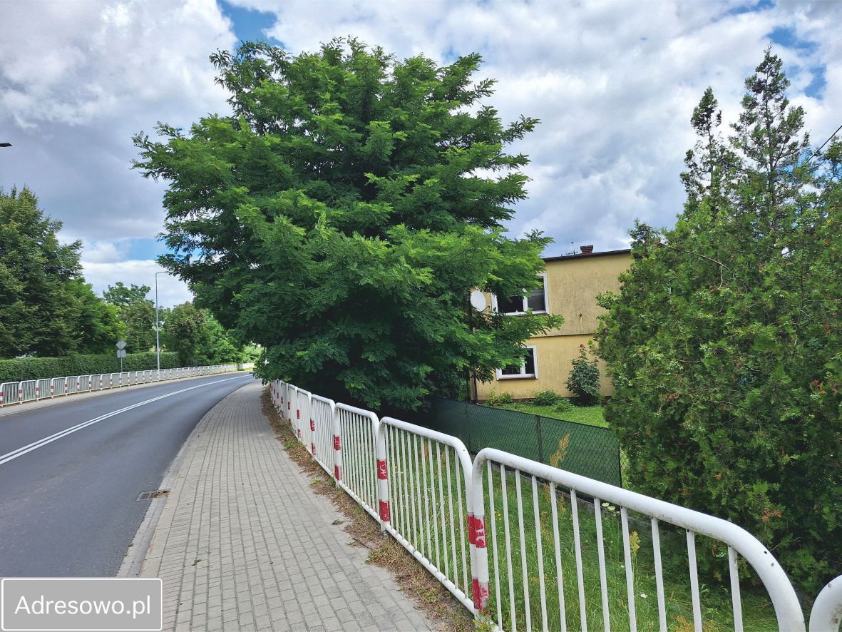 dom wolnostojący, 5 pokoi Czmoń. Zdjęcie 5