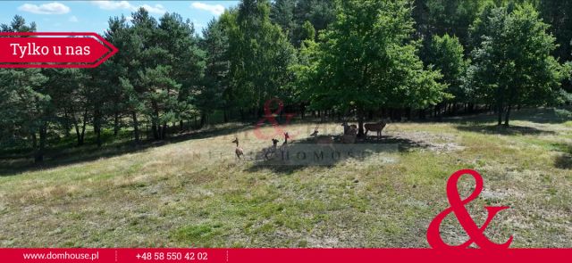 Działka siedliskowa Struga. Zdjęcie 15