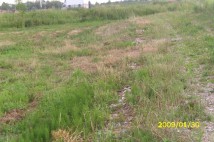 Działka budowlana Wolica. Zdjęcie 3