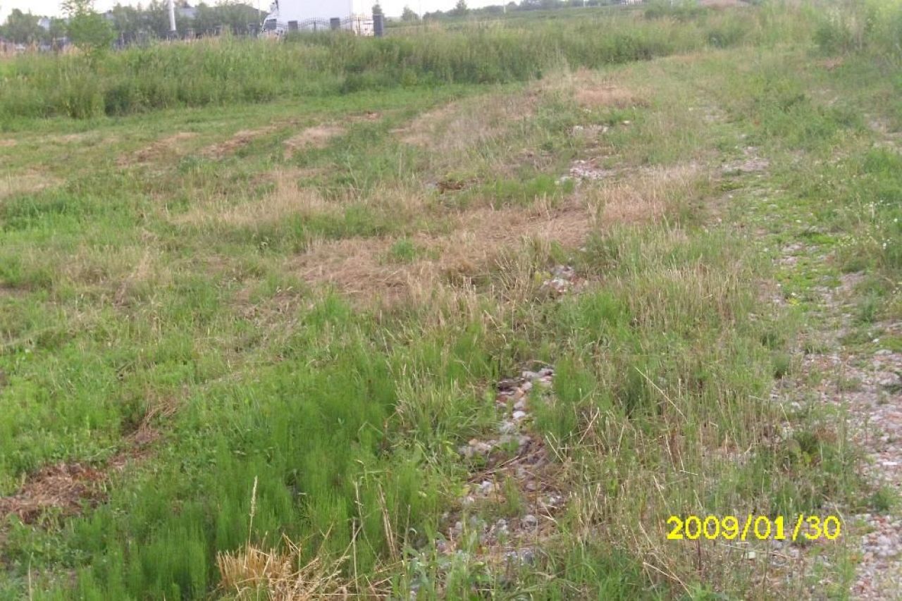 Działka budowlana Wolica. Zdjęcie 4