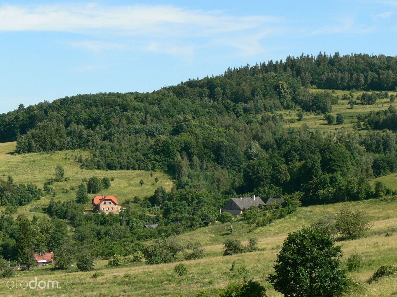 Działka rolna Siedlęcin. Zdjęcie 4