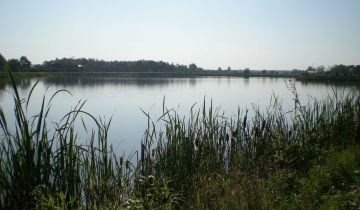 Działka rolna Szczurowa