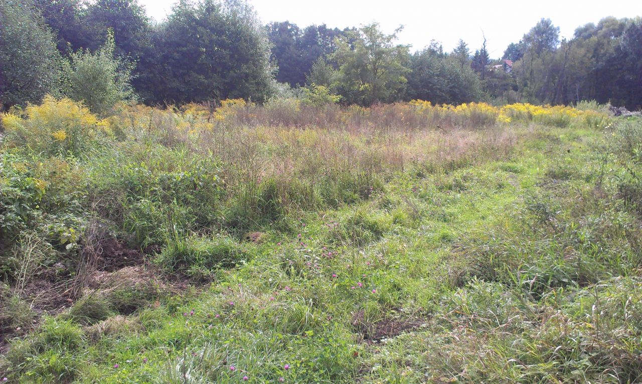 Działka budowlana Otomin, ul. Wrzosowa. Zdjęcie 3