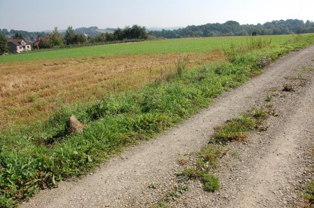 Działka rolno-budowlana Ujazd. Zdjęcie 1