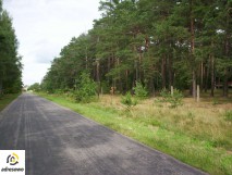 dom wolnostojący Borek. Zdjęcie 4