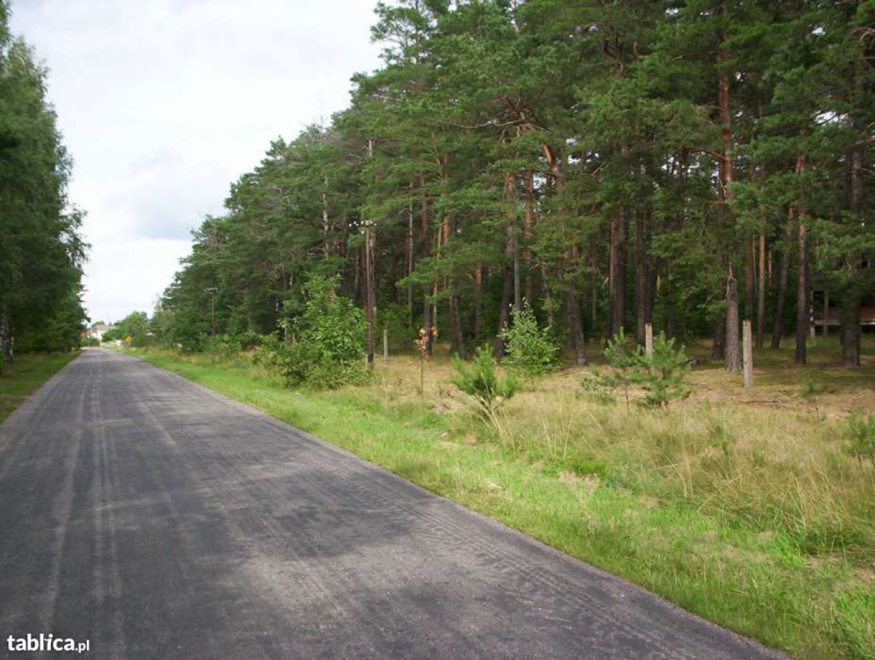 dom wolnostojący Borek. Zdjęcie 5