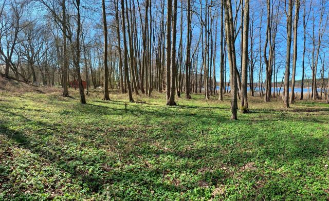 Działka rolno-budowlana Domysłów. Zdjęcie 1