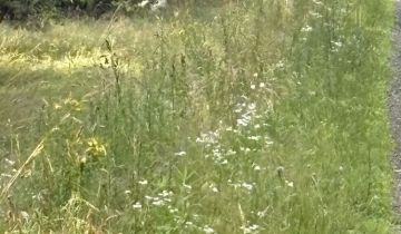 Działka budowlana Olszowe