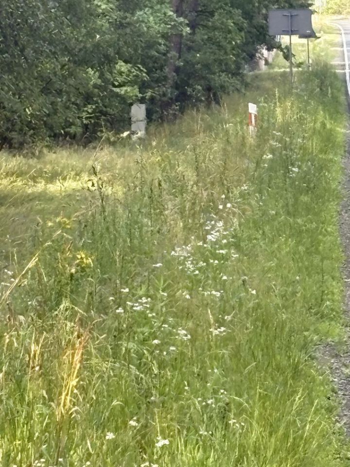 Działka budowlana Olszowe. Zdjęcie 2