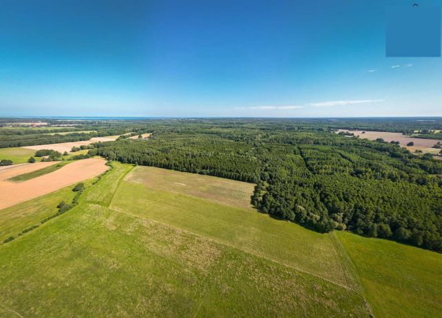 Działka rolna Krzywiec. Zdjęcie 1