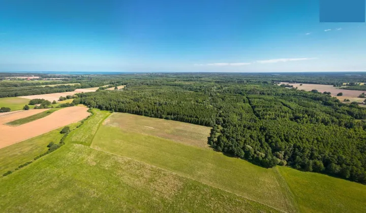 Działka rolna Krzywiec