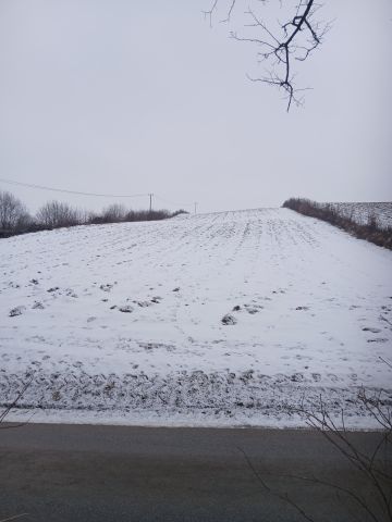 Działka rolno-budowlana Igołomia Luborzyczka. Zdjęcie 1
