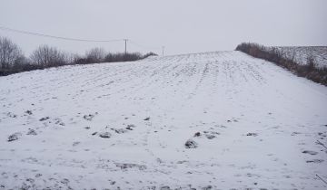 Działka rolno-budowlana Igołomia Luborzyczka