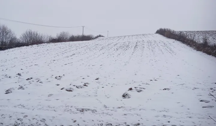 Działka rolno-budowlana Igołomia Luborzyczka