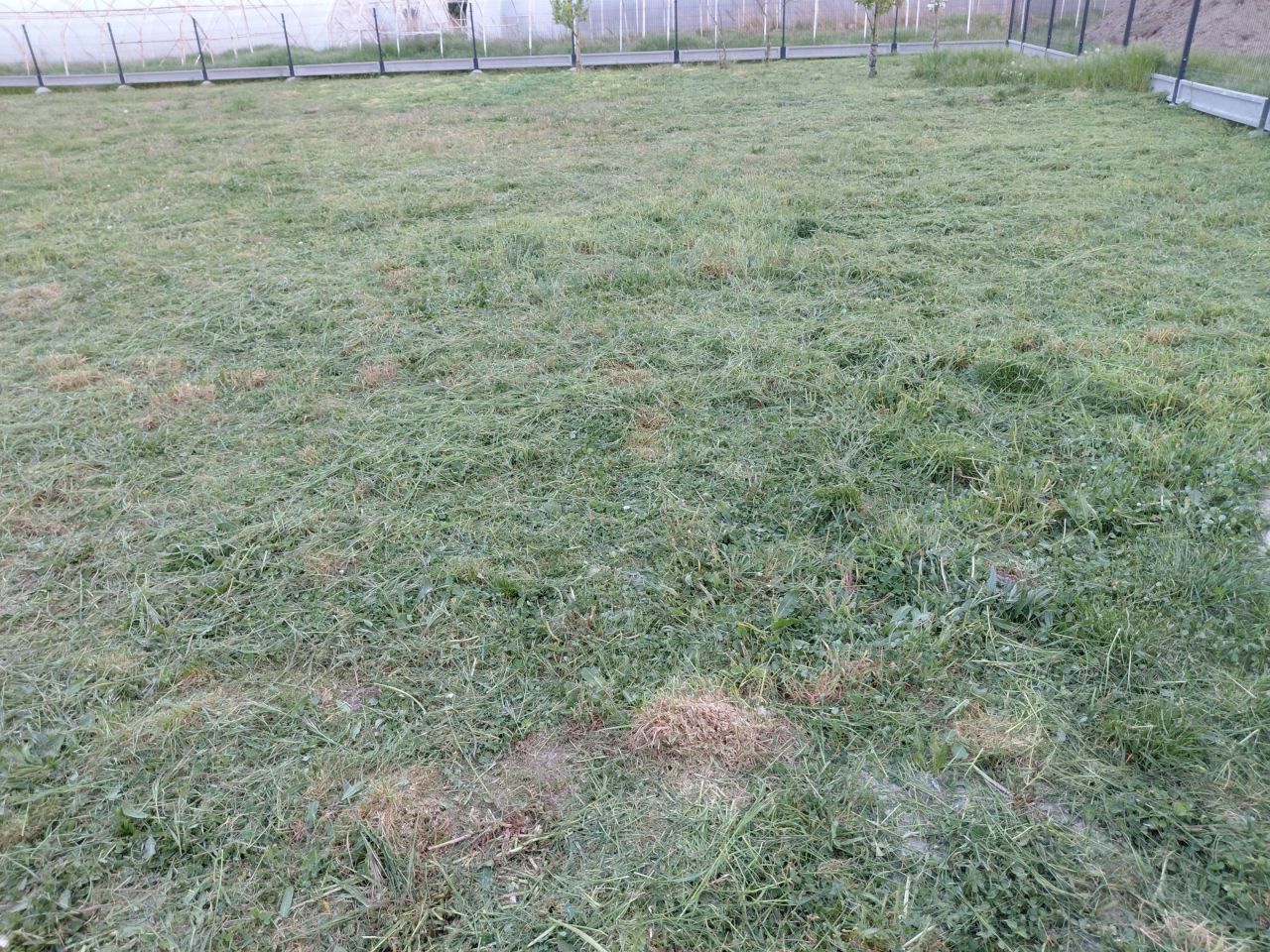 Działka budowlana Bojanowo Osada Trzecia, ul. Wiśniowa. Zdjęcie 13