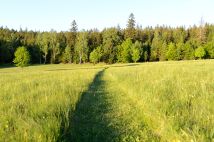 Działka budowlana Bartnica Wyrębina. Zdjęcie 3