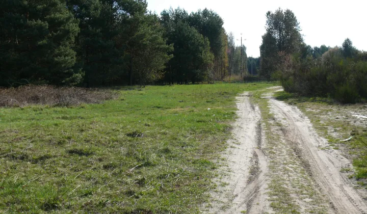 Działka rolno-budowlana Proćwin, ul. Główna