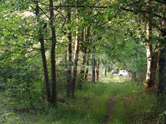 Działka budowlana Sulejówek Ratajewo. Zdjęcie 3