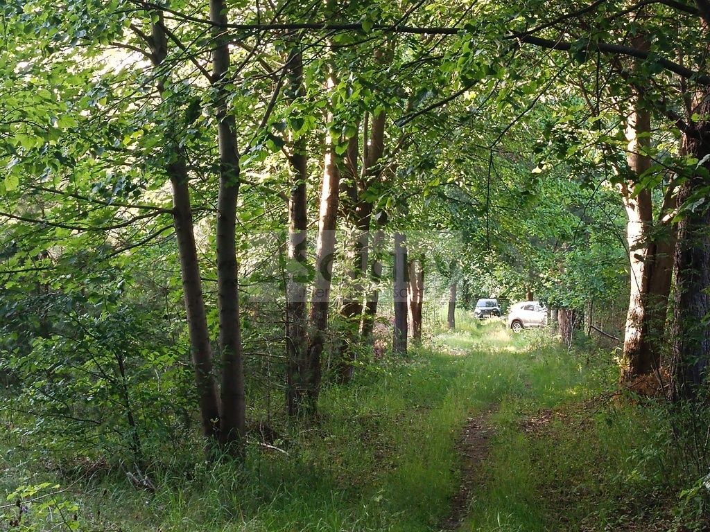 Działka budowlana Sulejówek Ratajewo. Zdjęcie 3