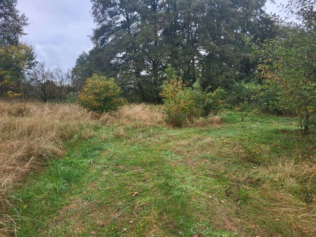 Działka Dobra. Zdjęcie 4