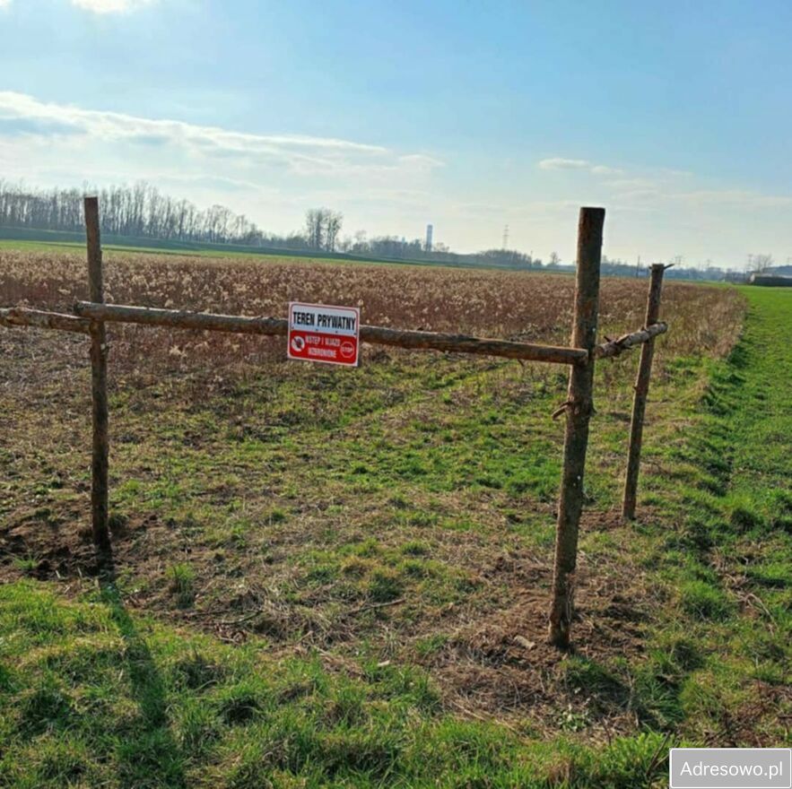 Działka rolna Tursko Małe-Kolonia. Zdjęcie 2