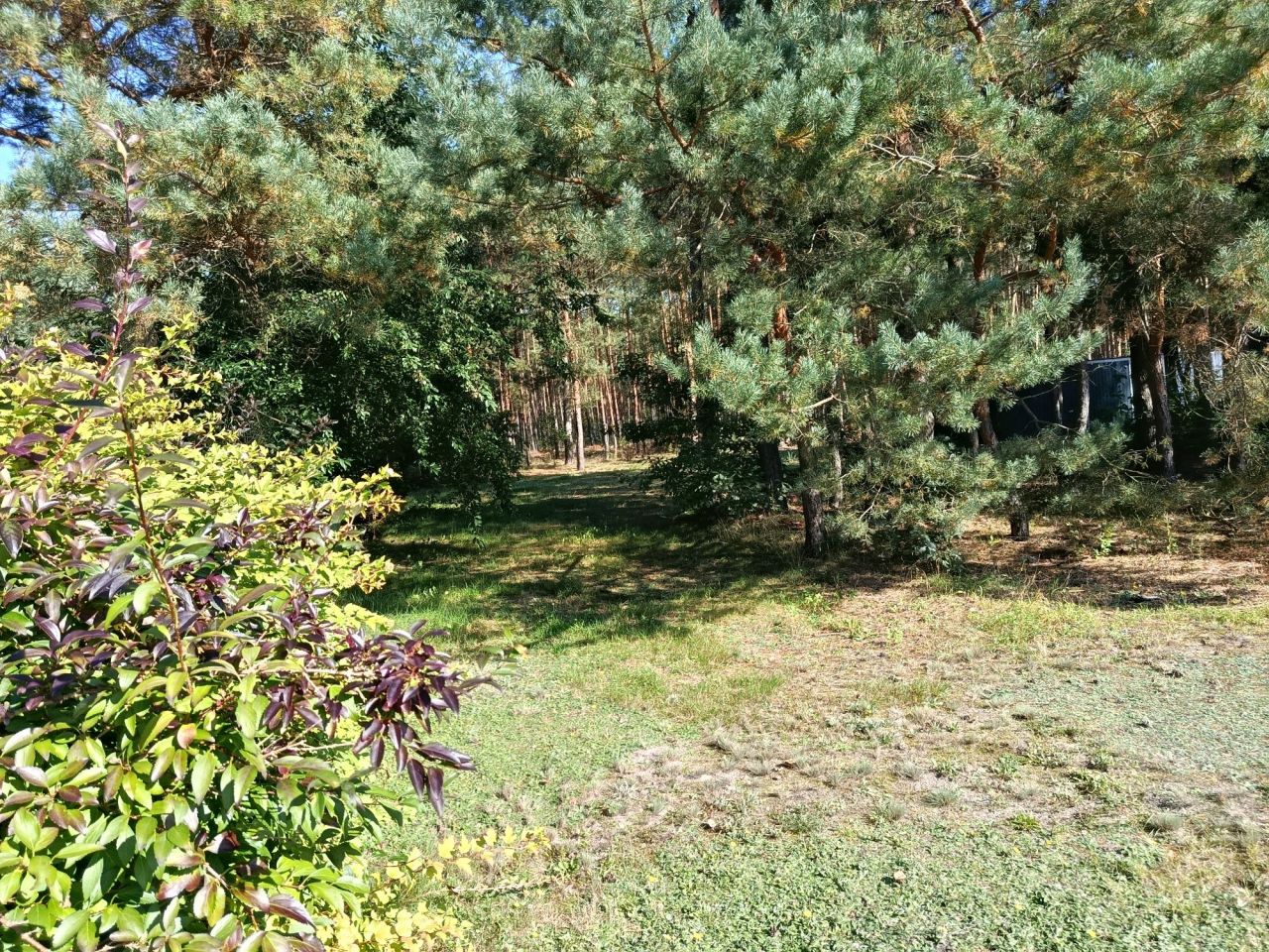 Działka budowlana Czarne Błoto, ul. Łubinowa. Zdjęcie 5