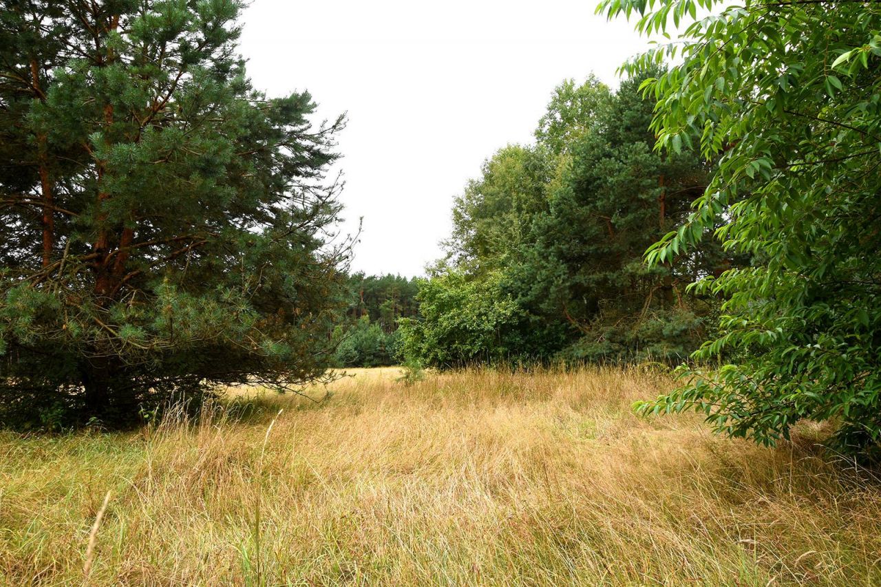 Działka budowlana Turna Duża. Zdjęcie 21