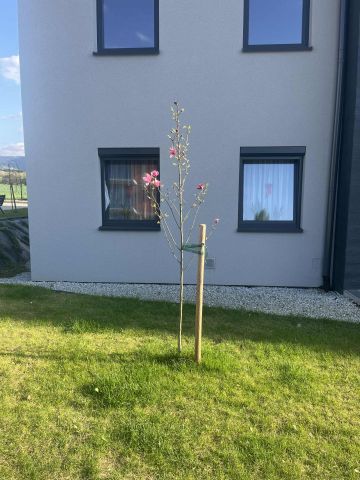 Mieszkanie 3-pokojowe Jaworze Jaworze Górne, ul. Złota. Zdjęcie 1