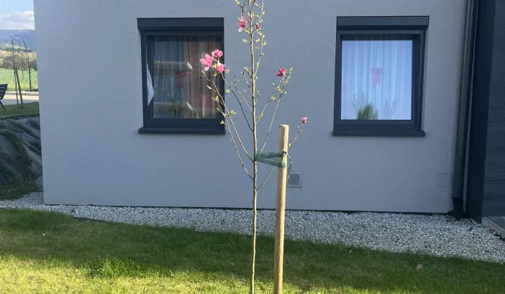 Mieszkanie 3-pokojowe Jaworze Jaworze Górne, ul. Złota