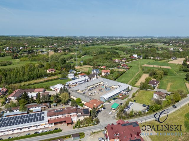 Biuro Lubenia. Zdjęcie 31