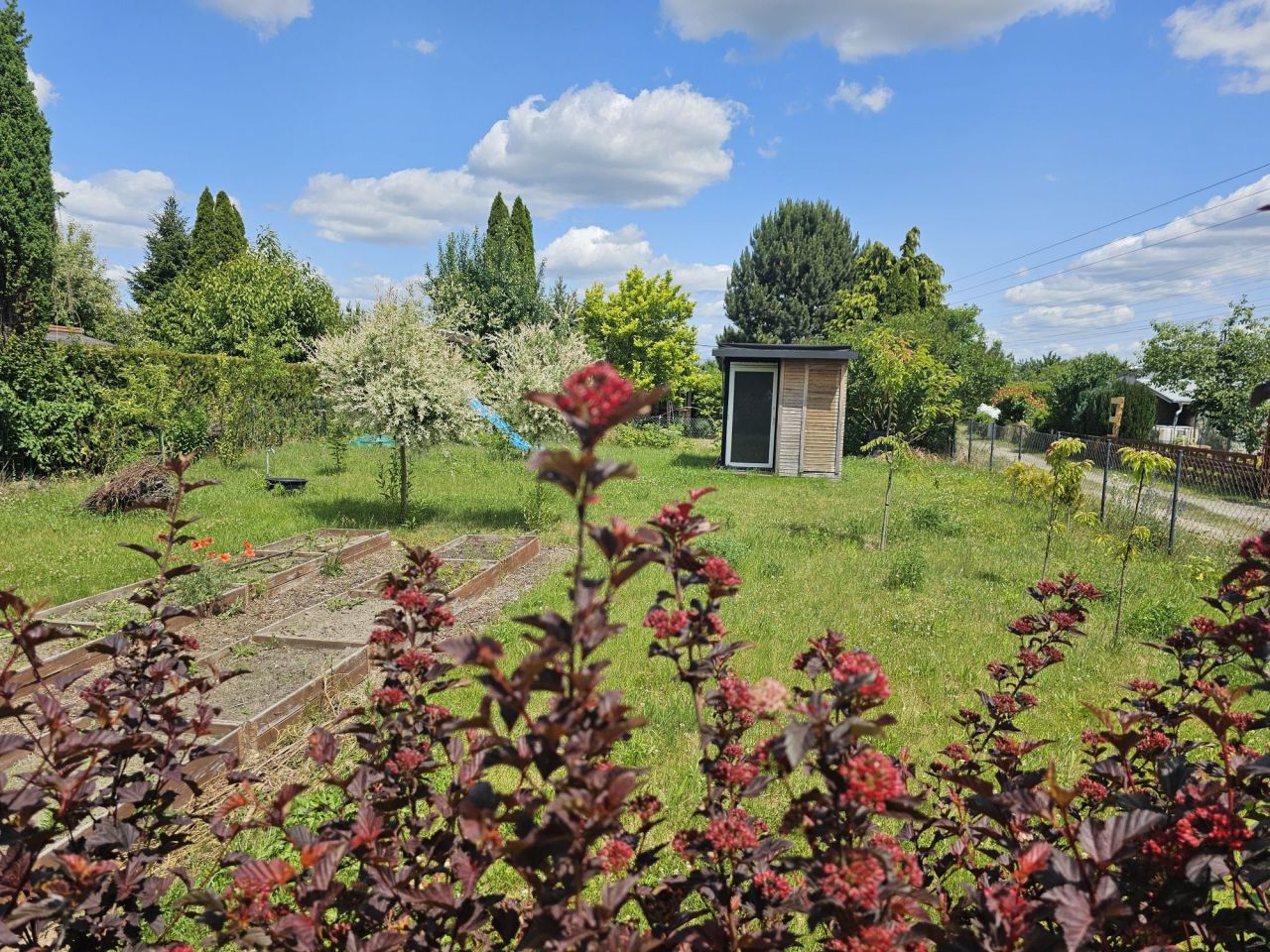 Działka rod Międzyrzecz