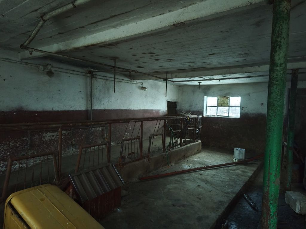 gospodarstwo Lipie. Zdjęcie 2