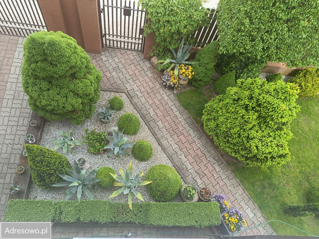 dom wolnostojący, 6 pokoi Mława Centrum, ul. Poświętna. Zdjęcie 10