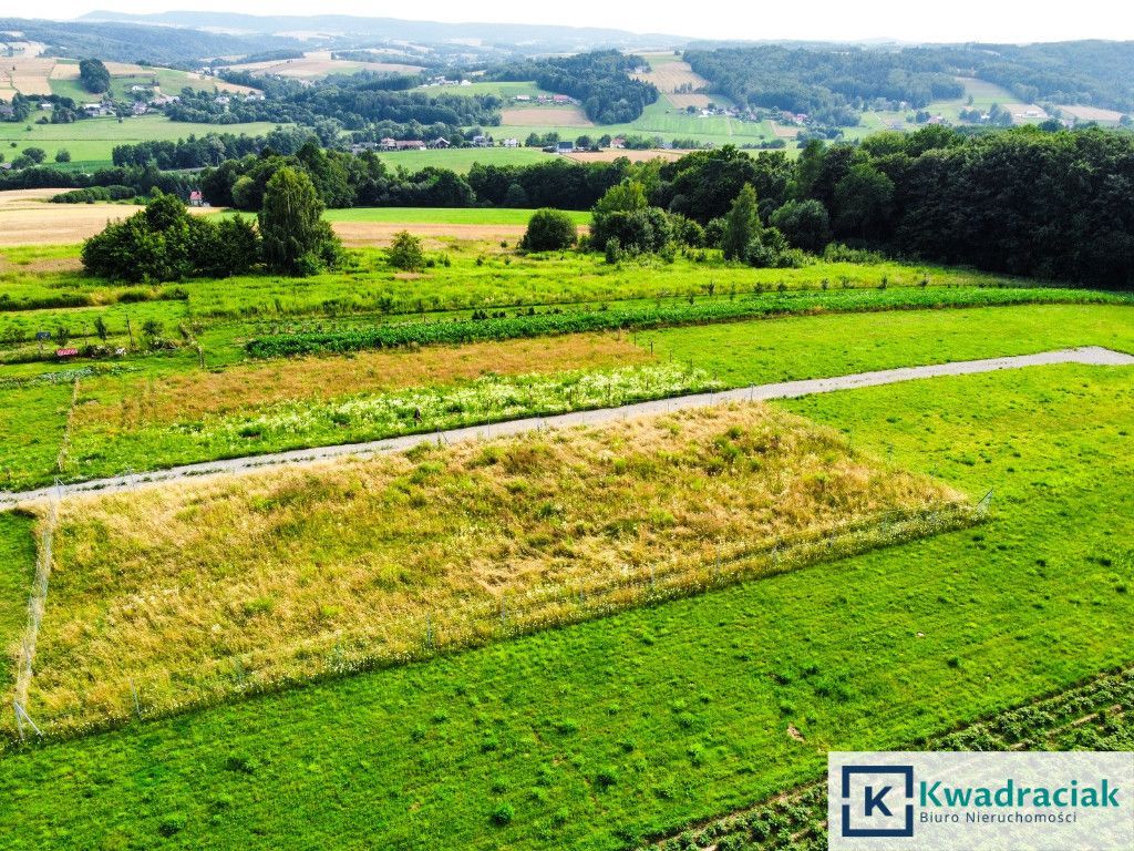 Działka budowlana Wielopole Skrzyńskie. Zdjęcie 3