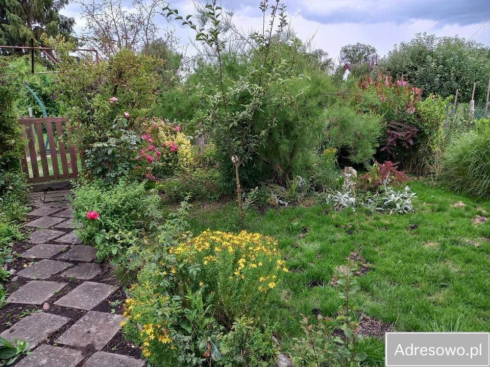 Działka rod Szczecin. Zdjęcie 7