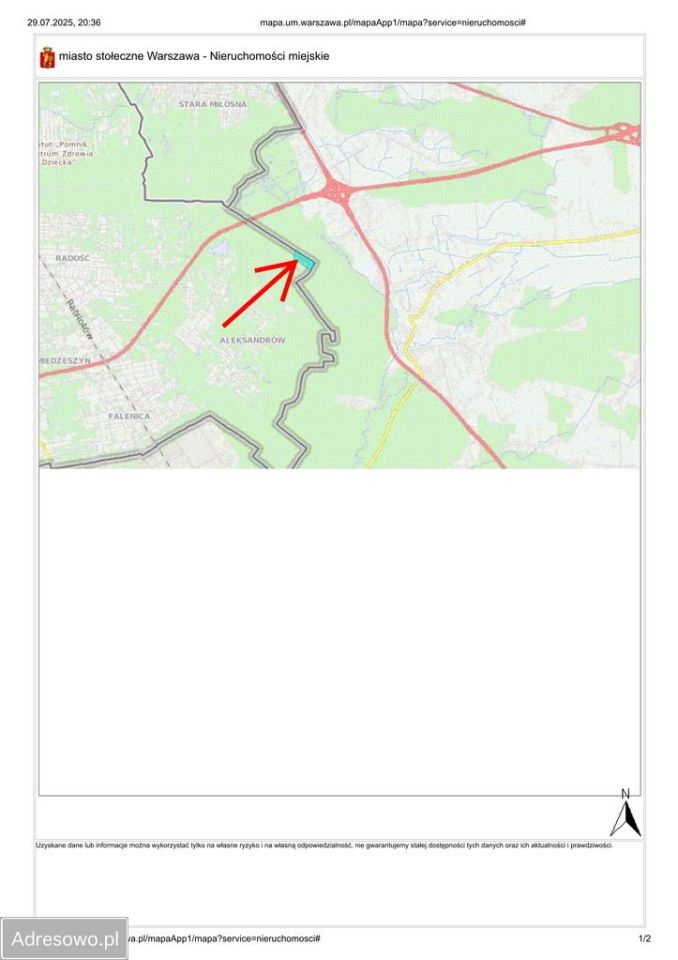 Działka leśna Warszawa. Zdjęcie 2