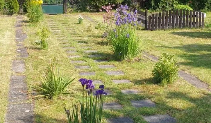 Działka rod Gliwice Bojków, ul. Pszczyńska