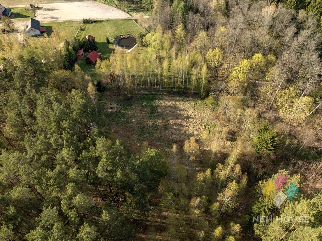 Działka leśna Świętajno, ul. Grunwaldzka. Zdjęcie 4