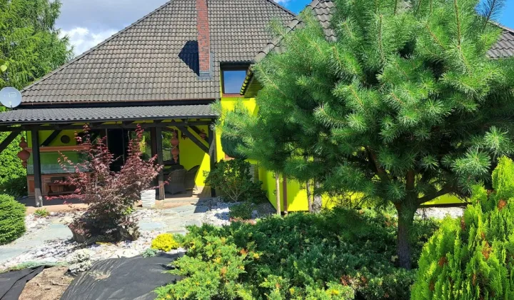 dom wolnostojący, 6 pokoi Borowa