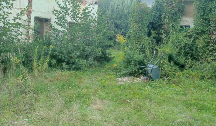 Działka siedliskowa Jaźwina Uliczno