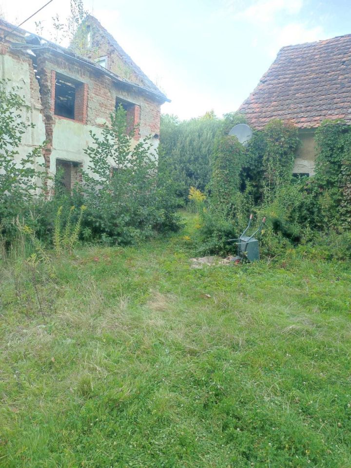 Działka siedliskowa Jaźwina Uliczno. Zdjęcie 1