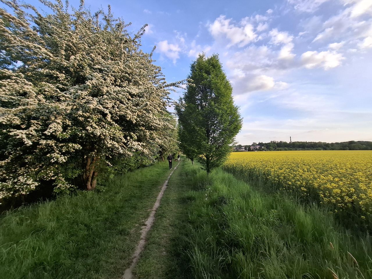 dom wolnostojący, 6 pokoi Siemianowice Śląskie Pszczelnik, ul. Żurawia. Zdjęcie 28