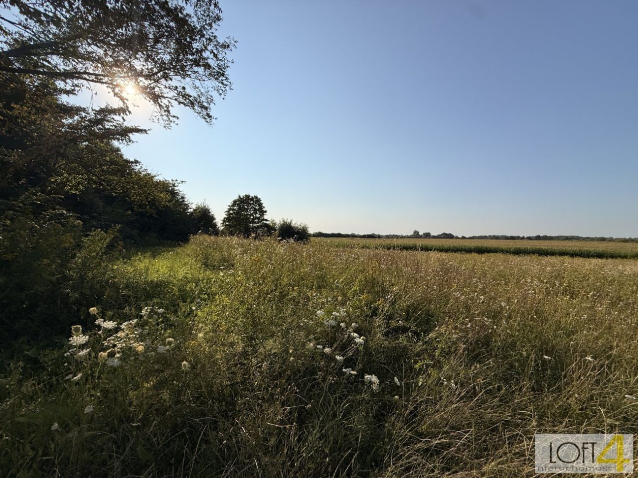 Działka rolna Mędrzechów. Zdjęcie 14