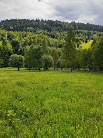 Działka siedliskowa Poniatów. Zdjęcie 1