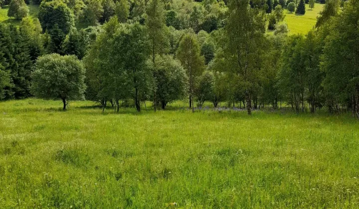 Działka siedliskowa Poniatów