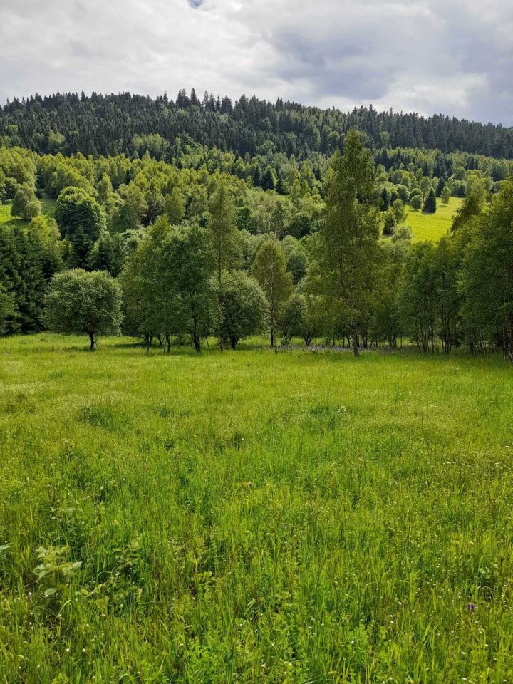 Działka siedliskowa Poniatów