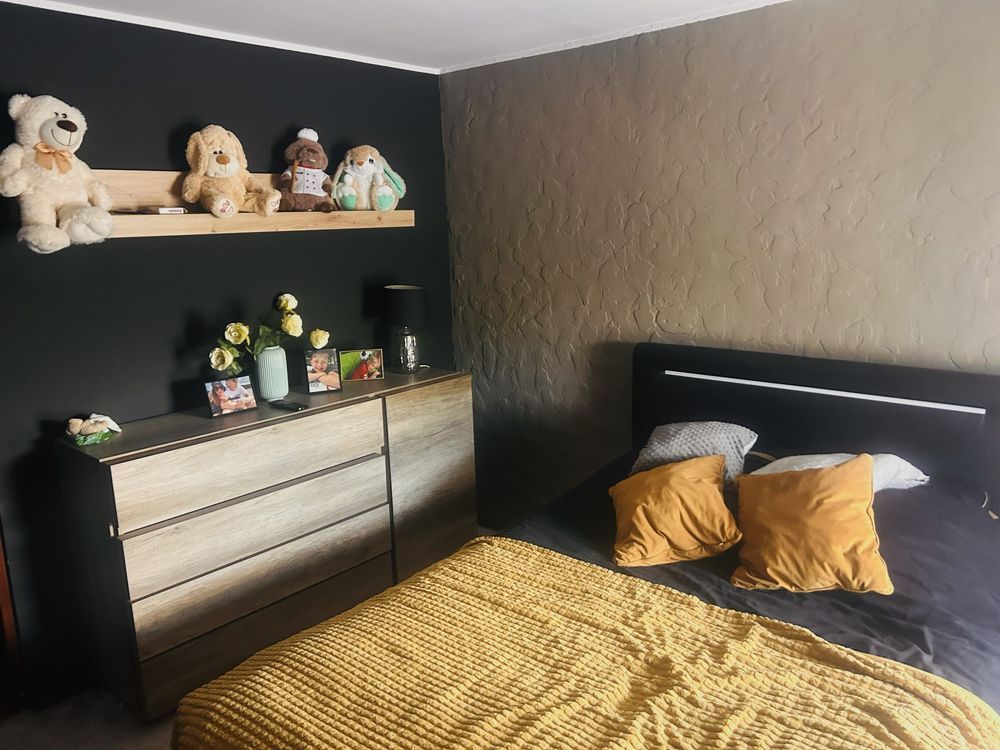 Mieszkanie 4-pokojowe Sosnowiec Sielec. Zdjęcie 7